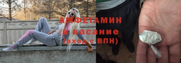 сатива Аркадак