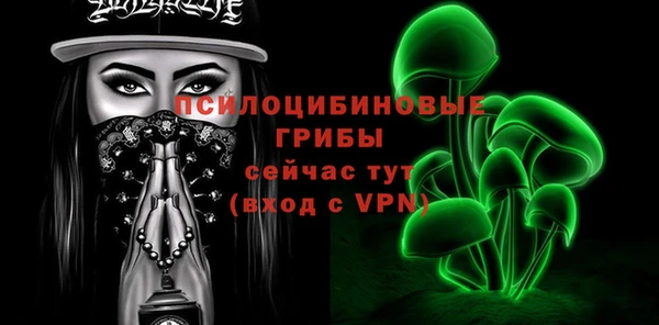 сатива Аркадак