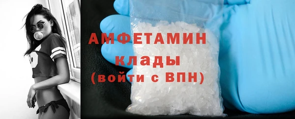 сатива Аркадак