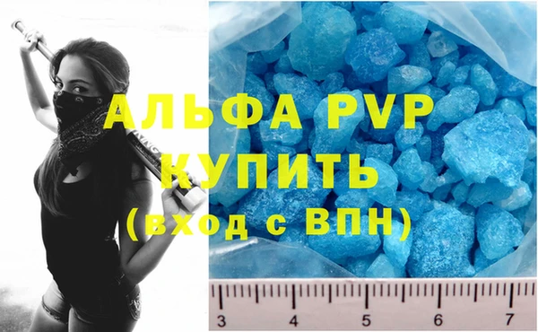 сатива Аркадак