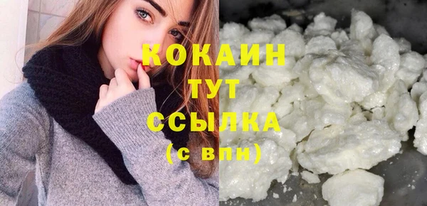 шишки Армянск