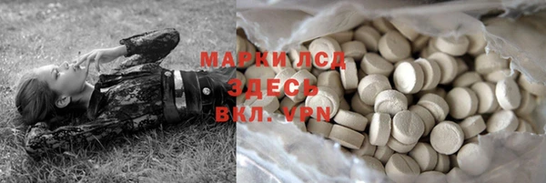 шишки Армянск