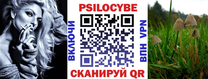 закладка  Бологое  мега ссылки  Галлюциногенные грибы MAGIC MUSHROOMS 